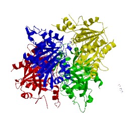 Image of CATH 5u1j