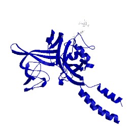 Image of CATH 5u1l