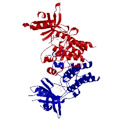 Image of CATH 5u6c