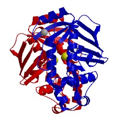 Image of CATH 5u7b