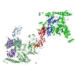 Image of CATH 5uac