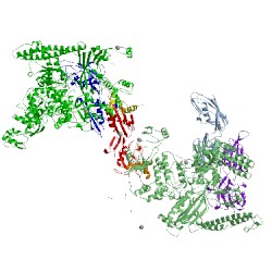 Image of CATH 5uaj