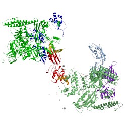 Image of CATH 5uaq