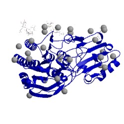 Image of CATH 5udy