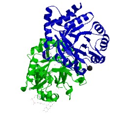 Image of CATH 5ue9