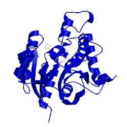 Image of CATH 5ugu