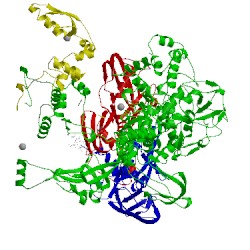 Image of CATH 5uh5