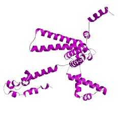 Image of CATH 5uh5F