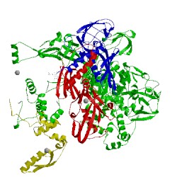 Image of CATH 5uhf