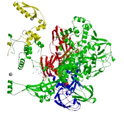 Image of CATH 5uhg