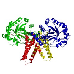 Image of CATH 5uhk