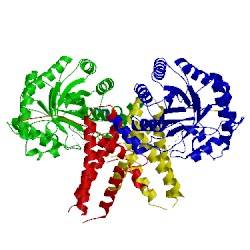 Image of CATH 5uho