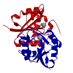 Image of CATH 5uj0