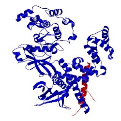 Image of CATH 5ukk