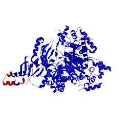 Image of CATH 5ul1