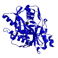 Image of CATH 5uli