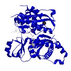 Image of CATH 5ulw