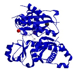 Image of CATH 5ulx