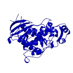 Image of CATH 5umo
