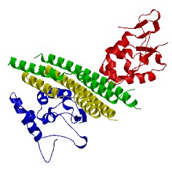 Image of CATH 5un5