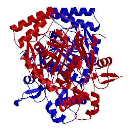 Image of CATH 5uns