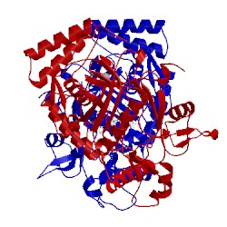 Image of CATH 5unx