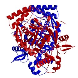 Image of CATH 5uo0