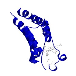 Image of CATH 5uoo