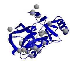 Image of CATH 5upd