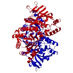 Image of CATH 5upf