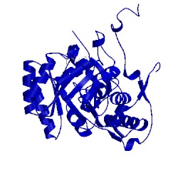Image of CATH 5upu
