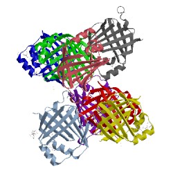 Image of CATH 5ur9