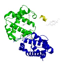 Image of CATH 5urc