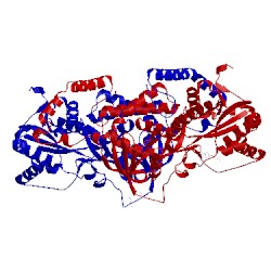 Image of CATH 5us8