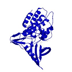 Image of CATH 5usq