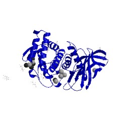 Image of CATH 5uua