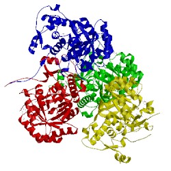 Image of CATH 5uwx