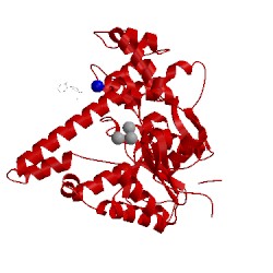 Image of CATH 5v06