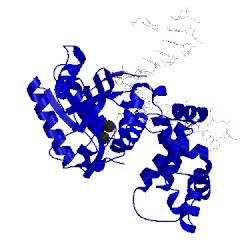 Image of CATH 5v1f