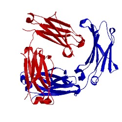 Image of CATH 5v43