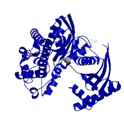 Image of CATH 5v4w