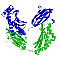 Image of CATH 5v5l