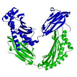 Image of CATH 5v5m