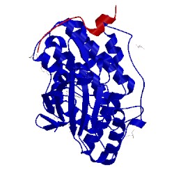 Image of CATH 5v61