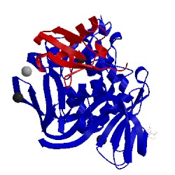 Image of CATH 5v6a