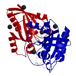 Image of CATH 5v6v