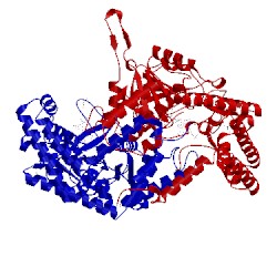 Image of CATH 5v7i