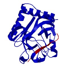 Image of CATH 5vac