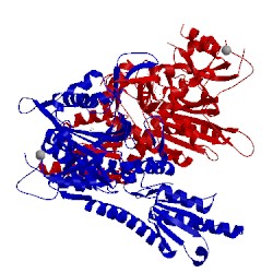 Image of CATH 5vad
