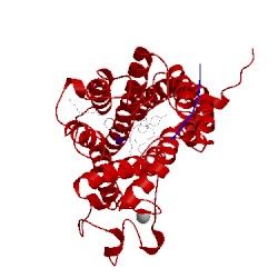 Image of CATH 5vbl